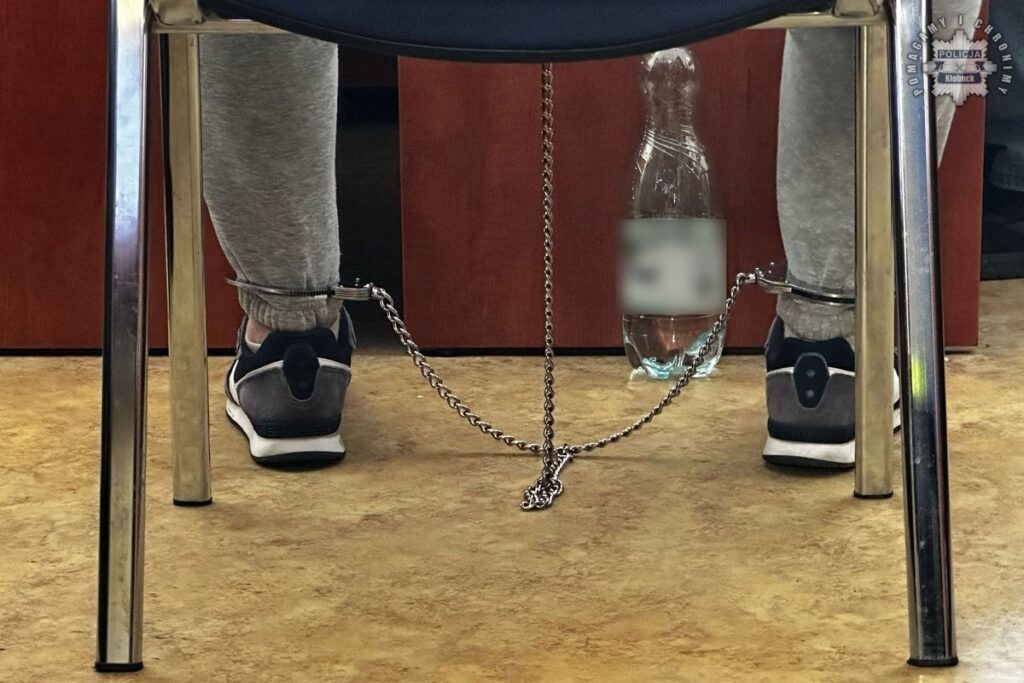 Grupa przestępcza rozbita! Sukces Policjantów z Kłobucka. 5