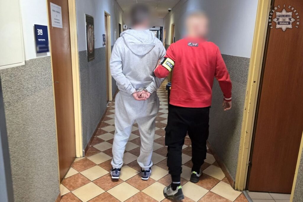 Grupa przestępcza rozbita! Sukces Policjantów z Kłobucka. 2