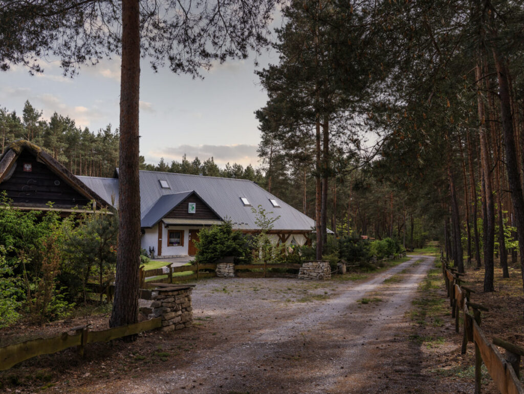 Leśna Przystań. Oaza spokoju nad nurtami Pilicy 6