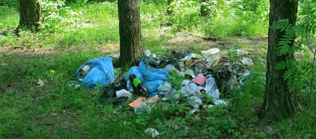 Ekologiczne ABC. Dzikie wysypiska – zmora polskich lasów
