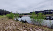 Ekologiczne ABC. Odkryj bogactwo śląskiej przyrody. [Fotorelacja]