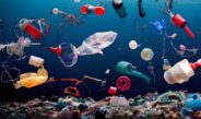 Ekologiczne ABC. (Nie)widoczny problem, czyli jak plastik trafia na nasze talerze