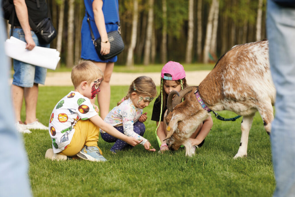 Park Korzonek to znacznie więcej niż minizoo! Poznaj jego sympatycznych mieszkańców! 5