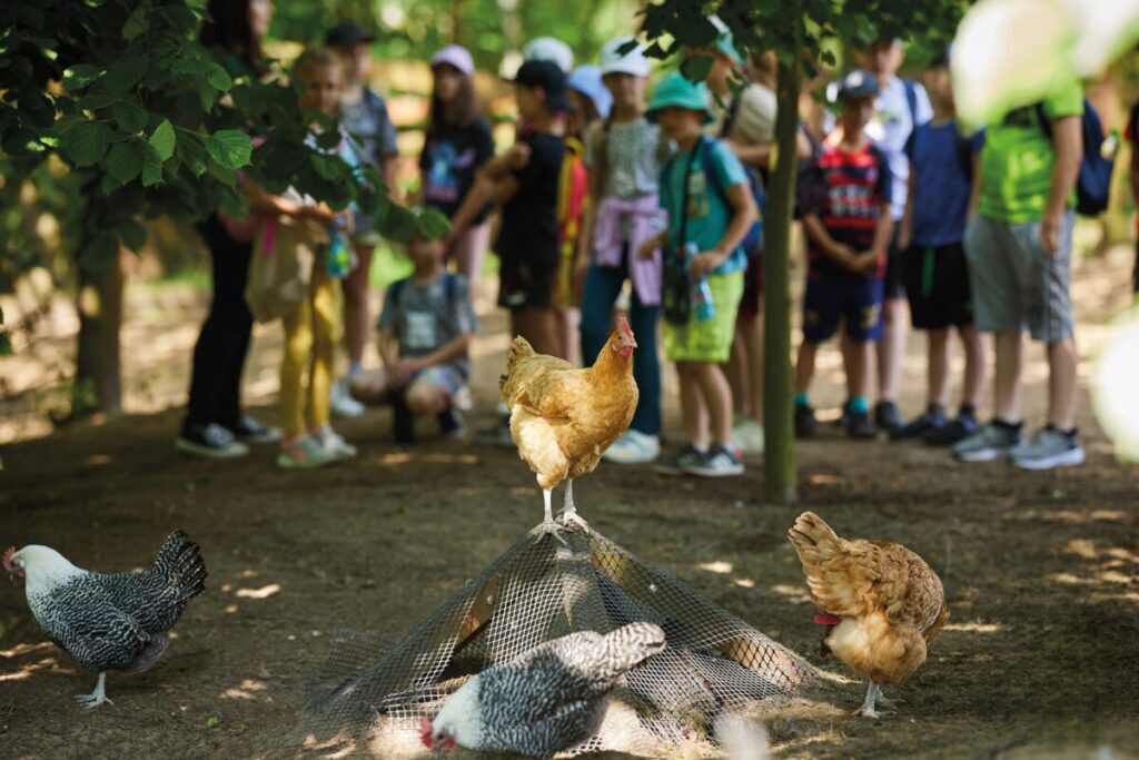 Ekologiczne ABC. Obcowanie z naturą – poznaj sympatycznych mieszkańców minizoo w Konopiskach! [Fotorelacja] 37