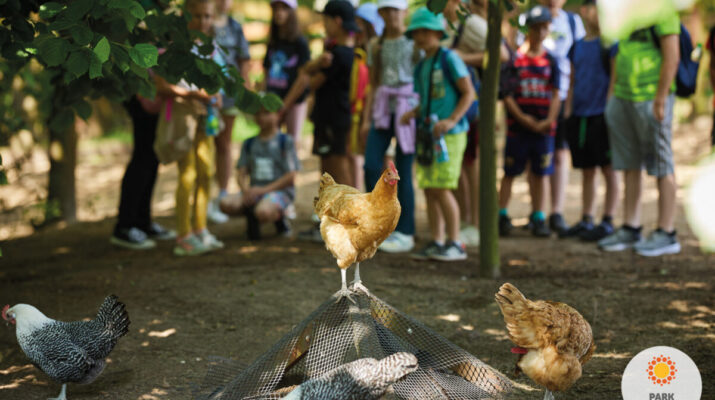 Park Korzonek. Miejsce, w którym rozrywka idzie w parze z edukacją 1