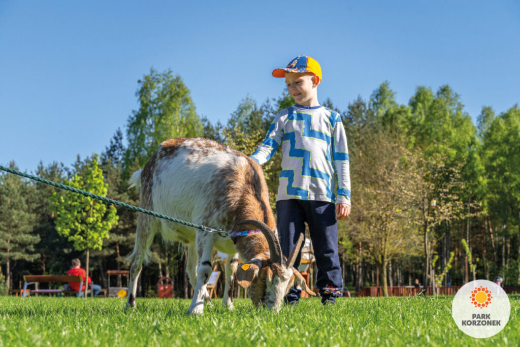 Park Korzonek to znacznie więcej niż minizoo! Poznaj jego sympatycznych mieszkańców! 18