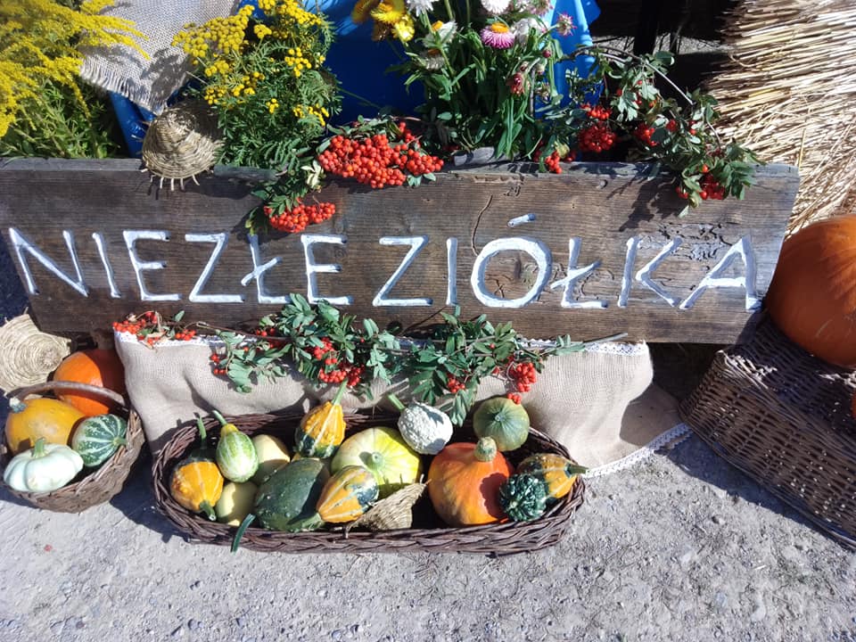 Krajowa Wystawa Rolnicza w Częstochowie. Ponad 100 lat tradycji 8