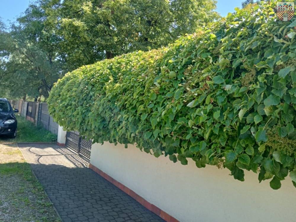 Zobacz najpiękniejsze posesje w mieście Żarki 12