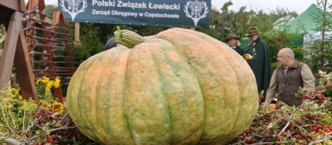 Ogólnopolskie uroczystości dożynkowe w Częstochowie [ZDJĘCIA]