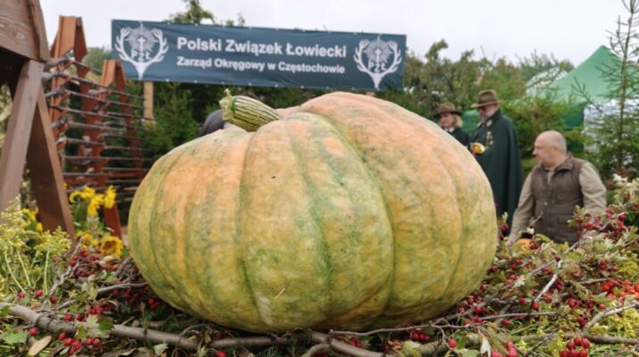 Ogólnopolskie uroczystości dożynkowe w Częstochowie [ZDJĘCIA] 1