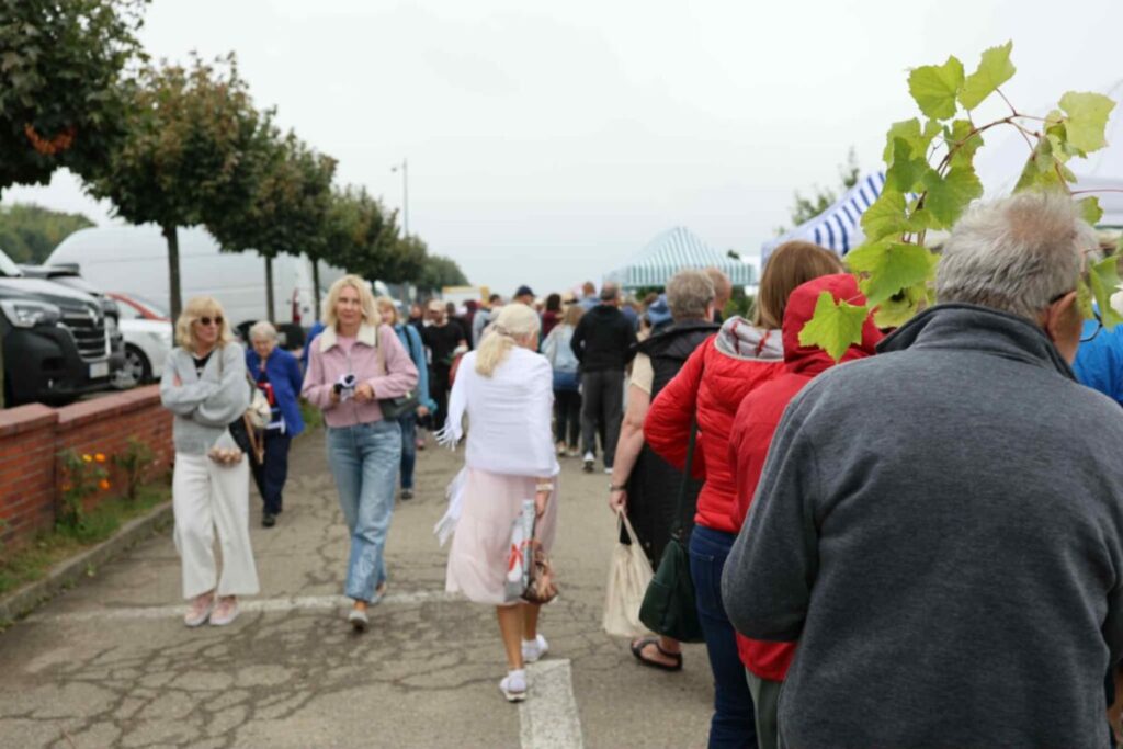 Ogólnopolskie uroczystości dożynkowe w Częstochowie [ZDJĘCIA] 11