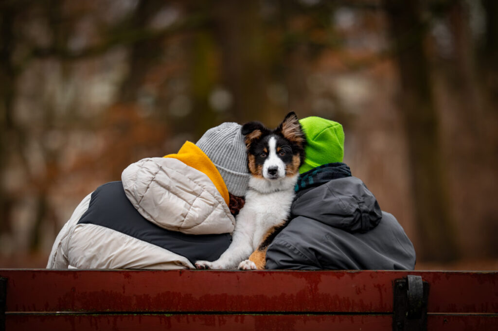 Behawiorysta - taka konsultacja to nie luksus, lecz rozsądny wybór 21