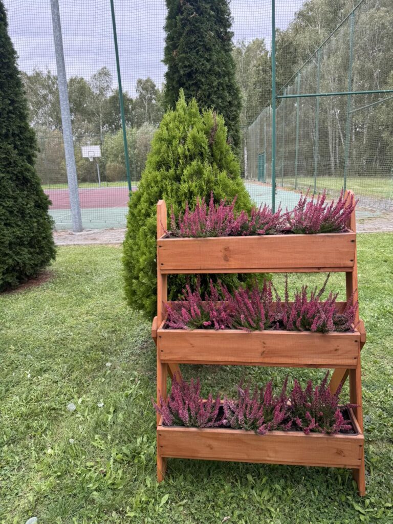 Ekologiczne ABC. Ekopracownia pod chmurką w Czarnym Lesie [fotorelacja] 22