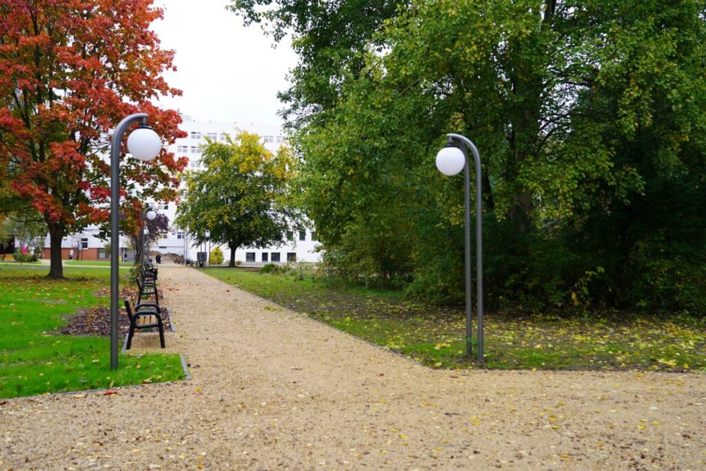 Ekologiczne ABC. Park przy Wojewódzkim Szpitalu Specjalistycznym w nowej odsłonie [fotorelacja] 13