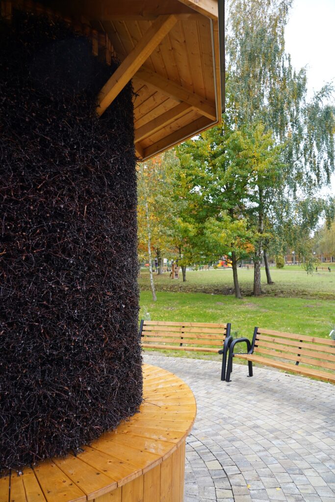 Ekologiczne ABC. Park przy Wojewódzkim Szpitalu Specjalistycznym w nowej odsłonie [fotorelacja] 58