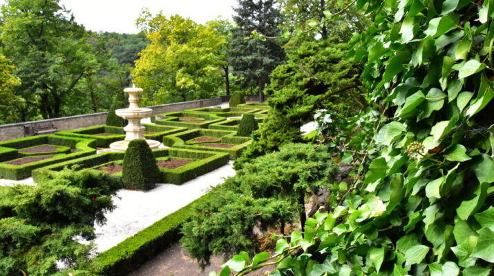 Wernisaż wystawy z cyklu "Szlakiem śląskich pałaców i zamków" w Regionalnym Ośrodku Kultury w Częstochowie 1