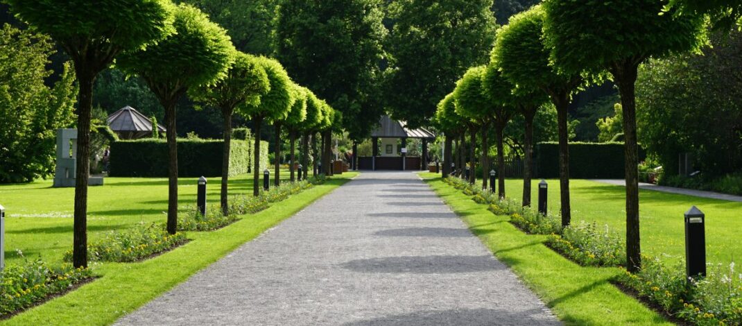 Ekologiczne ABC. Rozstrzygnięto III edycję konkursu Zielona Przestrzeń 2025