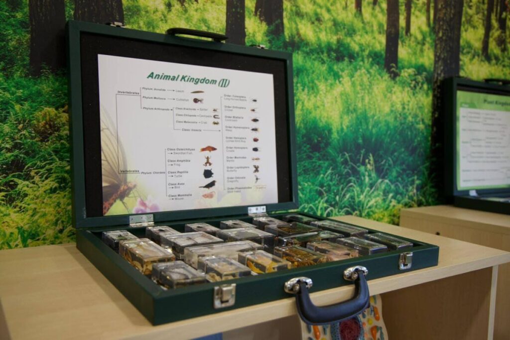 Ekologiczne ABC. Zielona Pracownia w Zespole Szkolno-Przedszkolnym w Rudnikach już otwarta [fotorelacja] 19