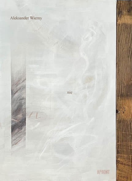 Wieczór autorski Aleksandra Wiernego. Promocja książki "nie" w Częstochowie 2