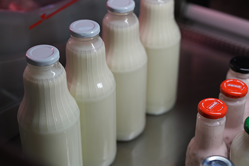 Jurajski Eko-Targ – miejsce, gdzie lokalność spotyka się z tradycją. 5