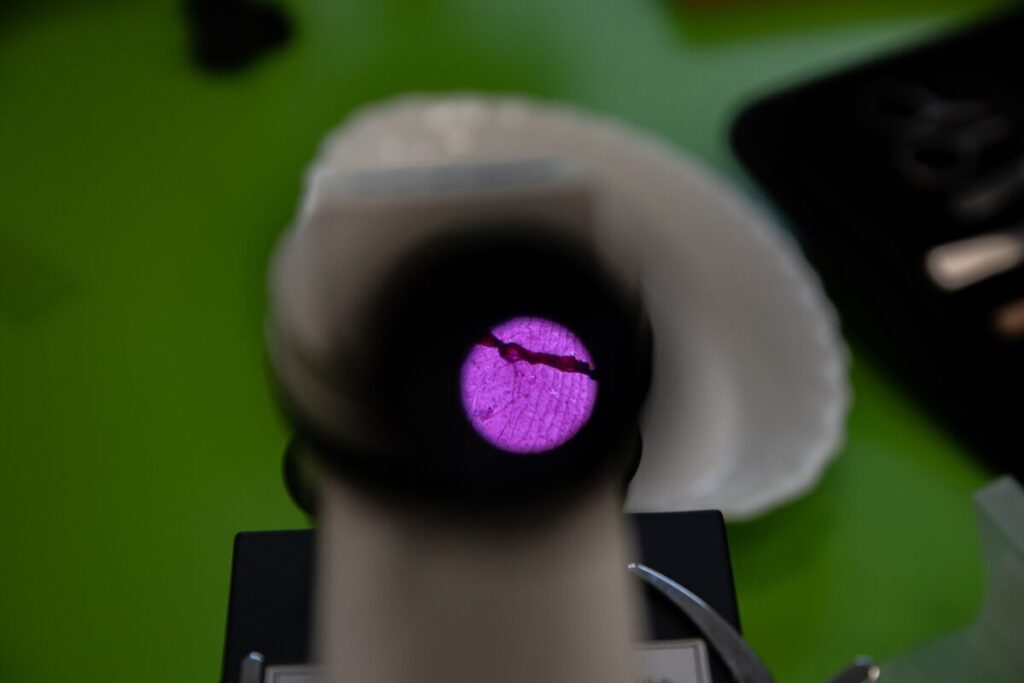 Ekologiczne ABC. Gmina Konopiska - otwarcie Zielonej Pracowni w Zespole Szkolno-Przedszkolnym w Hutkach [fotorelacja] 49