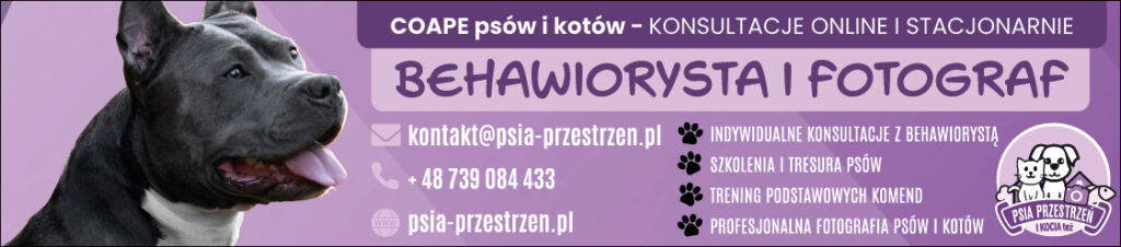 Zrozumieć Cztery Łapy: Indywidualne podejście do psów i kotów 1