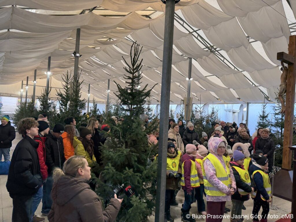 Jasna Góra. 18. Konkurs na Wieczernikową Choinkę. Drzewka zostały udekorowane [ZDJĘCIA] 25