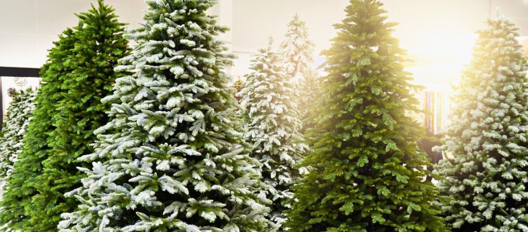 Ekologiczne ABC. Choinka żywa czy sztuczna? Na którą postawić?