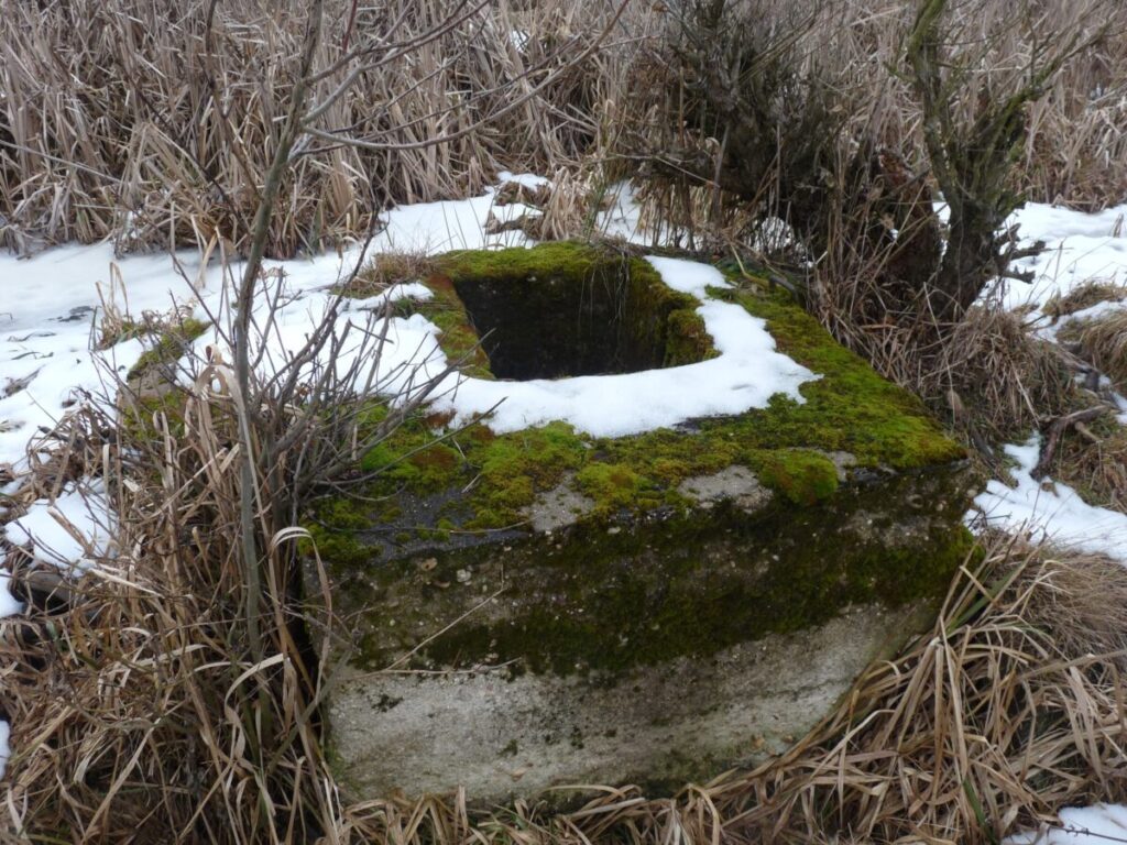 Ekologiczne ABC. Las zimową porą [fotorelacja] 9