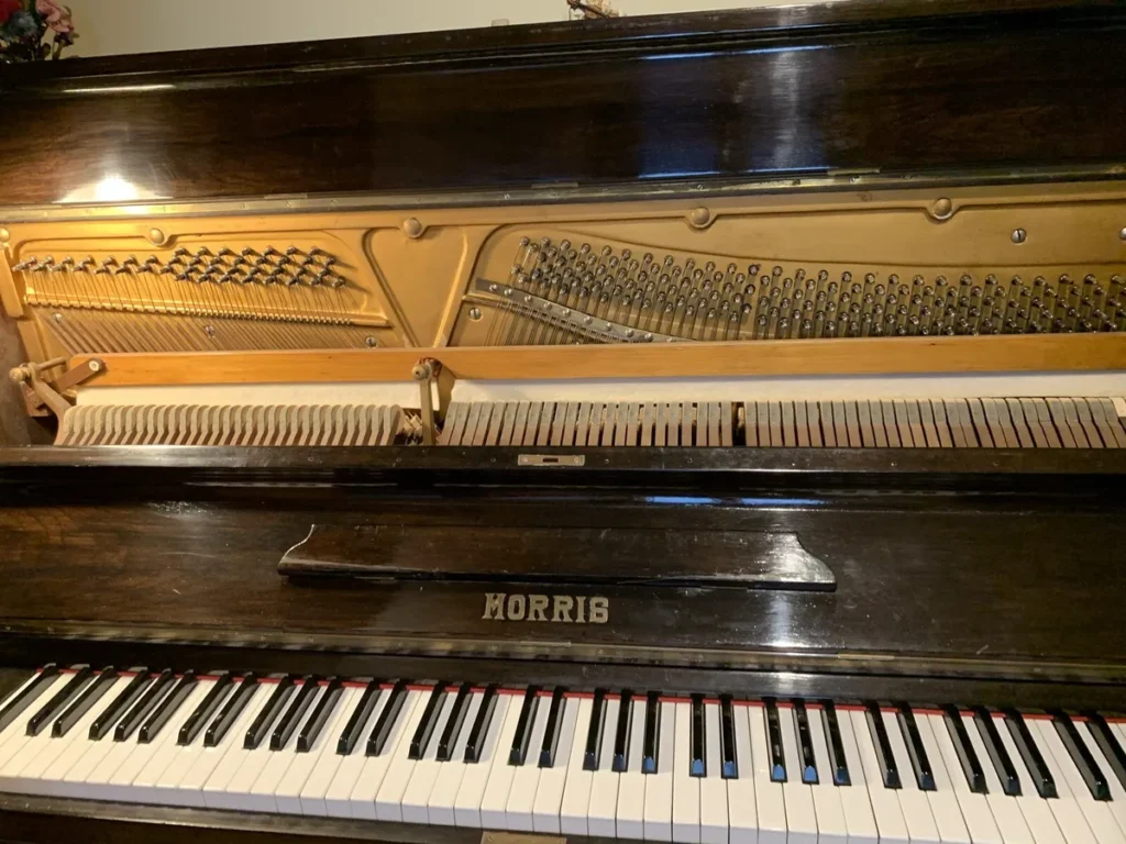 Przegląd "Kino dokumentalne – nasza miłość”. Na ekranie częstochowskiego OKF-u: "Pianoforte" 2