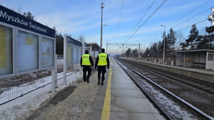 Policyjne działania ,,Aktywna Tarcza” 1