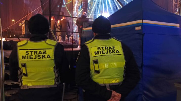 Częstochowska Straż Miejska ujęła wandala. Niszczył płotek ochraniający zieleń w Al. NMP 1