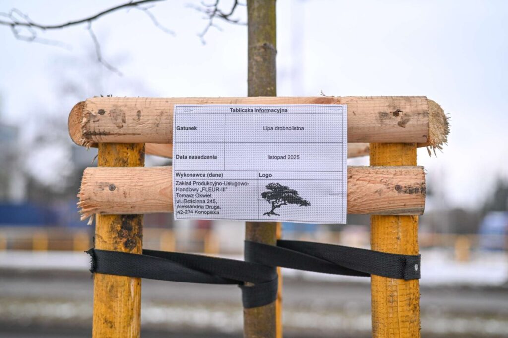 Ekologiczne ABC. Ponad 500 nowych drzew posadzono w ubiegłym roku w Częstochowie [fotorelacja] 1