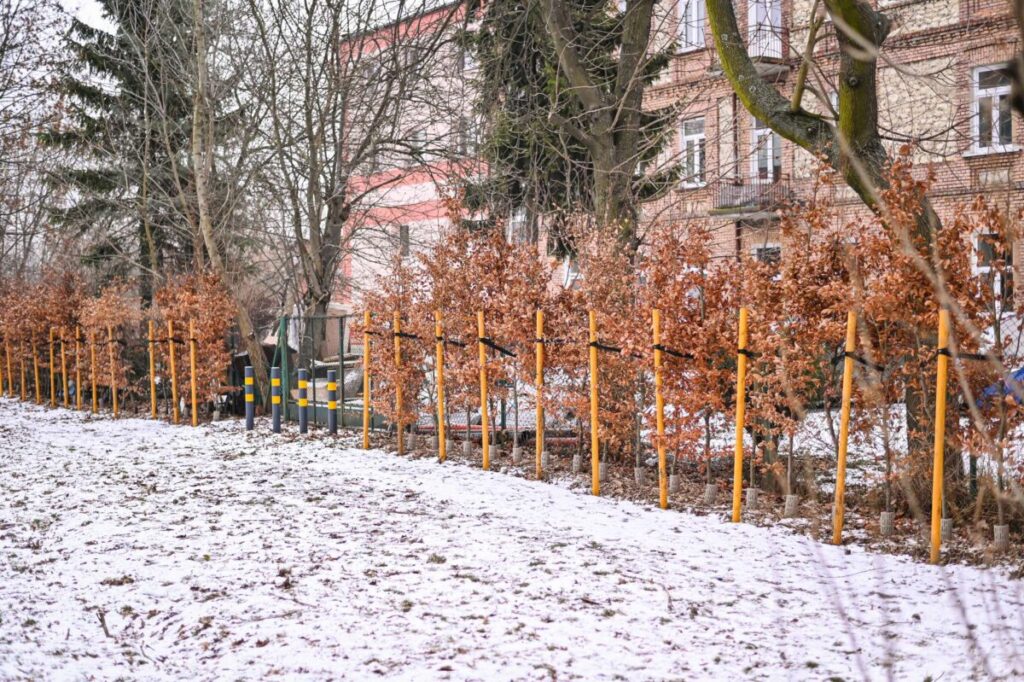 Ekologiczne ABC. Ponad 500 nowych drzew posadzono w ubiegłym roku w Częstochowie [fotorelacja] 34