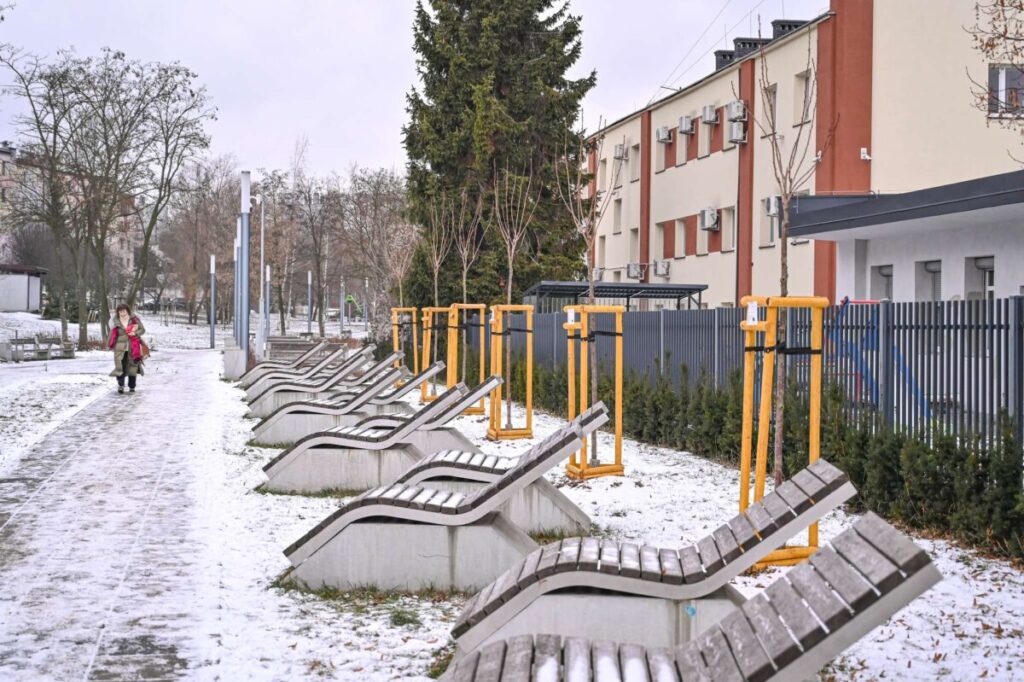 Ekologiczne ABC. Ponad 500 nowych drzew posadzono w ubiegłym roku w Częstochowie [fotorelacja] 22