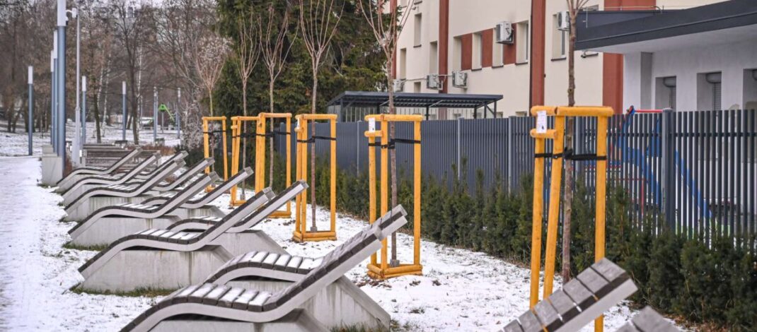 Ekologiczne ABC. Ponad 500 nowych drzew posadzono w ubiegłym roku w Częstochowie [fotorelacja]