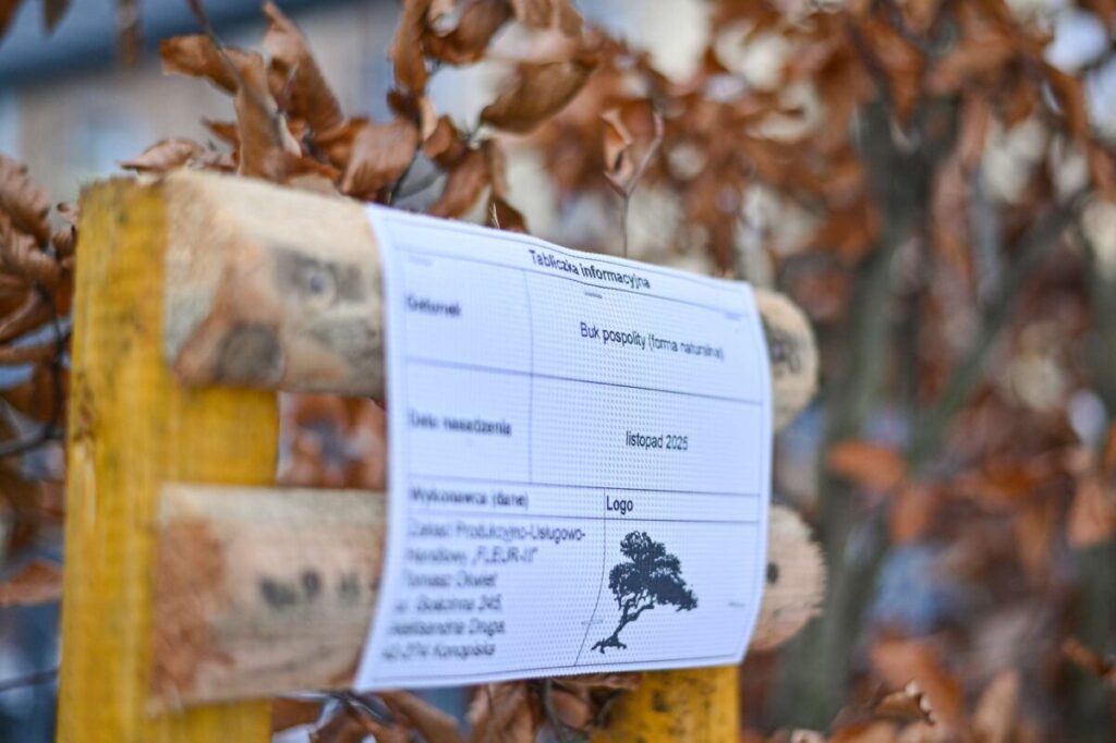 Ekologiczne ABC. Ponad 500 nowych drzew posadzono w ubiegłym roku w Częstochowie [fotorelacja] 19