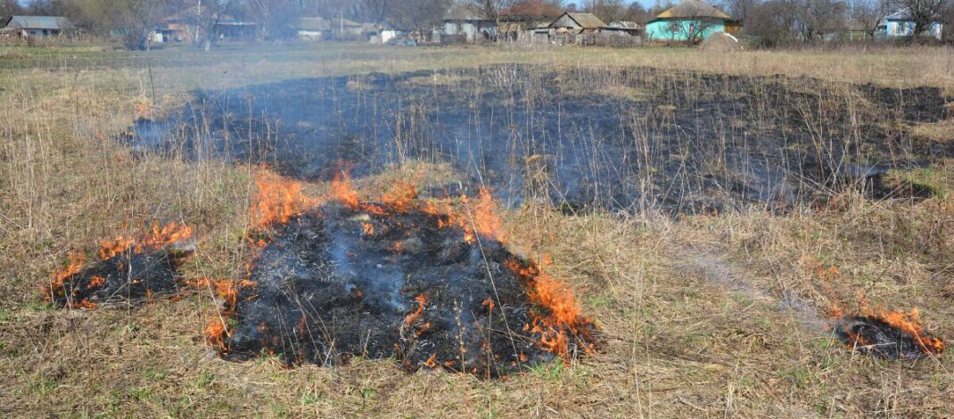 Ekologiczne ABC. Od 2 stycznia obowiązują surowsze kary za wypalanie traw i zagrożenie pożarowe