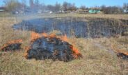 Ekologiczne ABC. Od 2 stycznia obowiązują surowsze kary za wypalanie traw i zagrożenie pożarowe