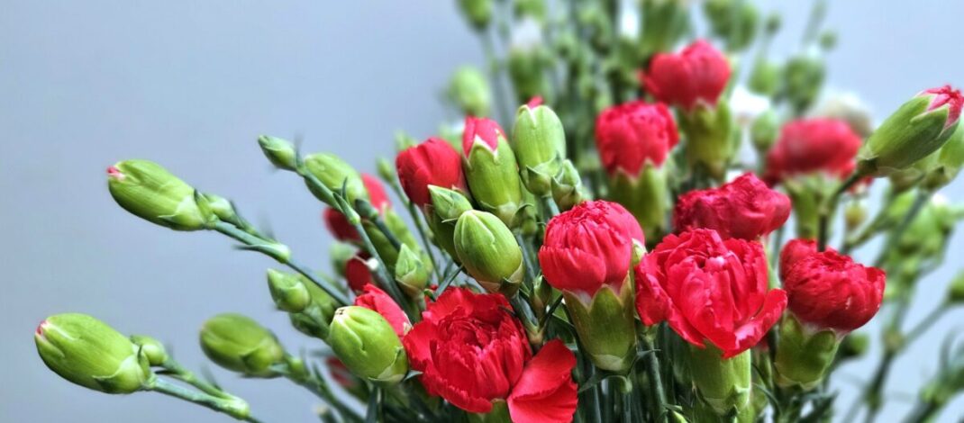 Warsztaty kosmetyczne dla Pań „Natura Piękna” na Dzień Kobiet!