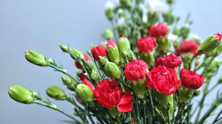 Warsztaty kosmetyczne dla Pań "Natura Piękna" na Dzień Kobiet! 1