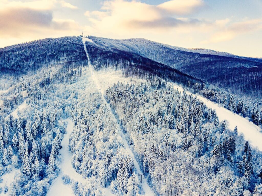Ferie zimowe. To czas białego szaleństwa! 3