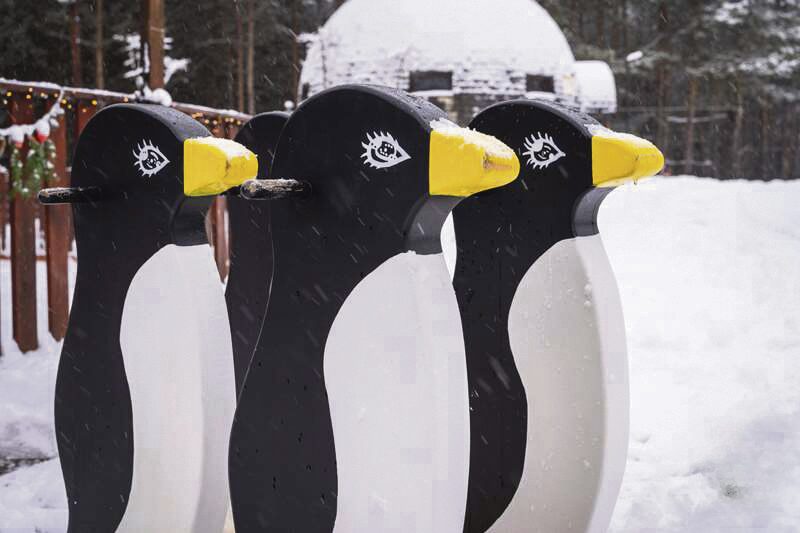Ferie w Parku Korzonek. Zimowa przygoda w sercu natury! 9