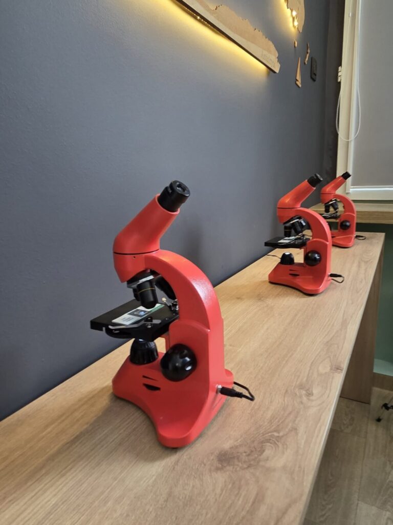 Ekologiczne ABC. Kolejna Zielona Pracownia powstała w Gminie Żarki [fotorelacja] 70