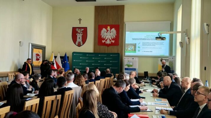 zielona transformacja