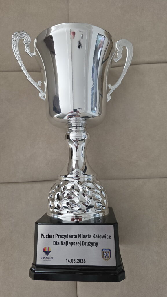 Sukces zawodników UKS Delfinek Częstochowa! 2