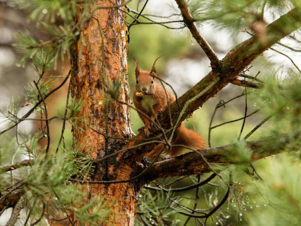Ekologiczne ABC. Rozstrzygnięto VI edycję konkursu fotograficznego Jurajska przyroda w obiektywie [foto] 1