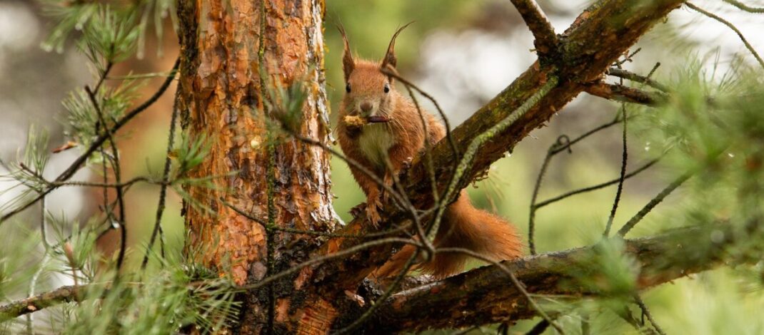 Ekologiczne ABC. Rozstrzygnięto VI edycję konkursu fotograficznego Jurajska przyroda w obiektywie [foto]