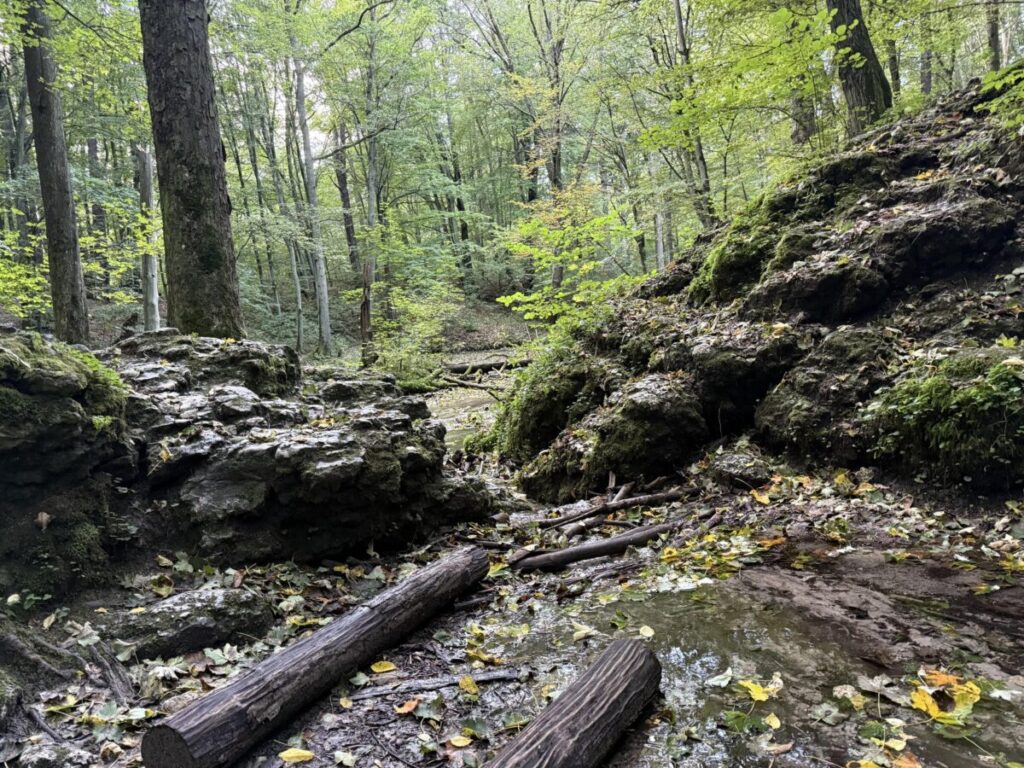 Ekologiczne ABC. Rozstrzygnięto VI edycję konkursu fotograficznego Jurajska przyroda w obiektywie [foto] 31