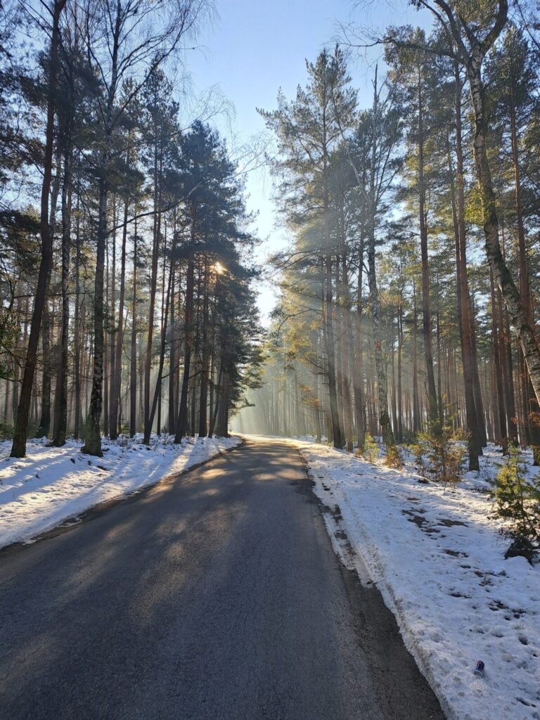 Ekologiczne ABC. Rozstrzygnięto VI edycję konkursu fotograficznego Jurajska przyroda w obiektywie [foto] 34